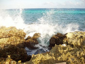 An isolated stretch of a rocky shore in Cozumel.  It was ... by Anna Visconti 
